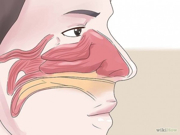 如何快速解決「鼻塞」！三種疏通方法天然又簡單