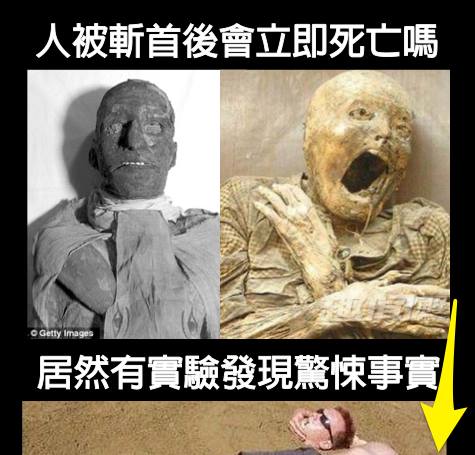 人被斬首後會立即死亡嗎？居然有實驗發現驚悚事實...