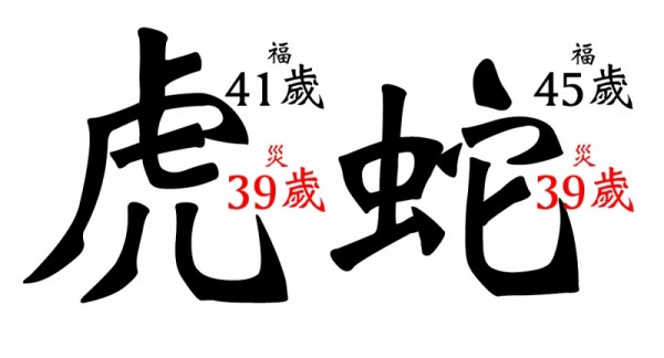 是福是災的「十二生肖歲數」！一生潮起潮落就靠這篇了...掐指一算你也能為自己未來做打算了！