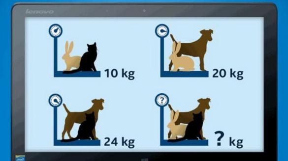 據說能快速算出「貓+狗+兔=幾公斤」的人就是天才。很多解了半天的人一看到答案都吐血了！