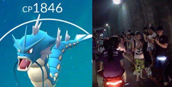 《Pokémon Go》三重竟然出現「暴鯉龍」！玩家霸佔馬路...騎士怒喊「一句話」當場崩潰！