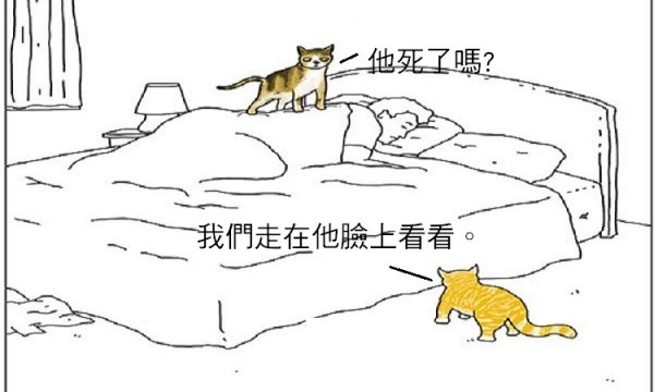 10張「如果動物會說話」的幽默漫畫，才看第一張我就笑瘋啦