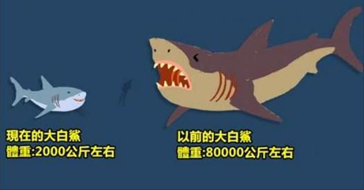 盤點 11隻「古代巨獸VS現代親戚」體型對比圖，藍鯨以前的模樣也太激萌了吧！