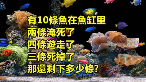 據說有99.9%的人都回答不出這道題目...你敢嘗試嗎？