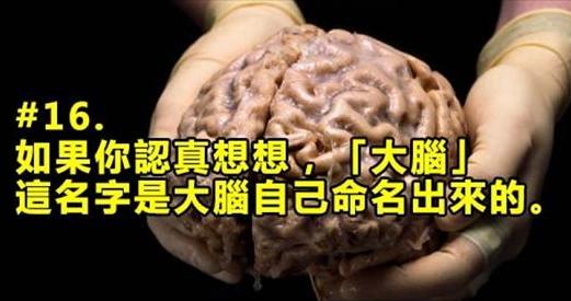 20個乍聽很扯但卻「真到不能再真」的驚奇科學事實，第16大腦的名字是大腦取的！