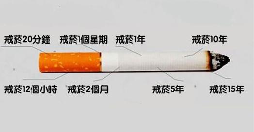 從你決定戒菸的那一刻開始「身體其實就有了變化」，看了這些結果終於秒懂戒菸的效果！