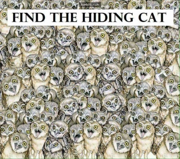 1497136645-1d47fc