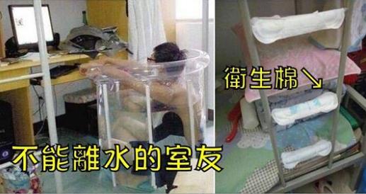 跟他們住一起會瘋！盤點那些「生活習慣超奇葩」的室友，屎盆泡麵還不誇張，在宿舍養鱷魚是合法的嗎！？